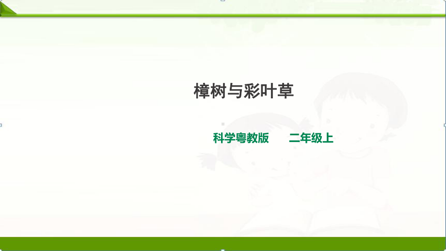 12-樟树与彩叶草(课件)粤教粤科版小学科学2二年级上册课件.ppt_第1页