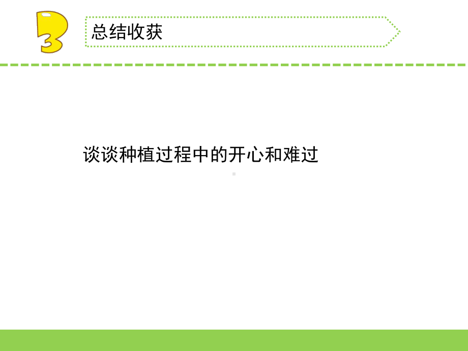 （新教材）苏教版三年级下册科学课件-4植物结果了.ppt_第3页