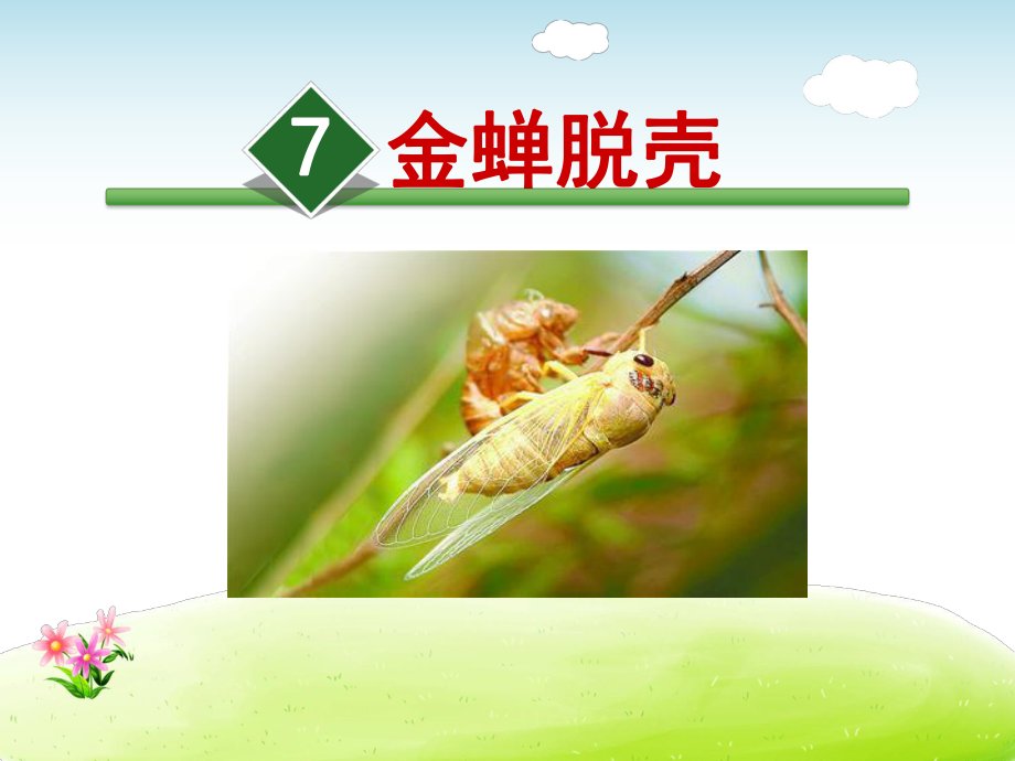 金蝉脱壳课件最新苏教版.ppt_第2页