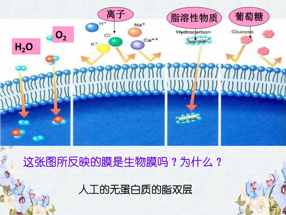 高中生物人教版必修1-物质跨膜运输的方式-课件1.ppt_第2页