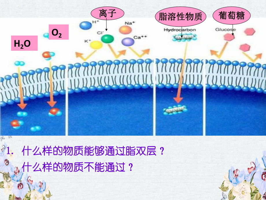 高中生物人教版必修1-物质跨膜运输的方式-课件1.ppt_第3页