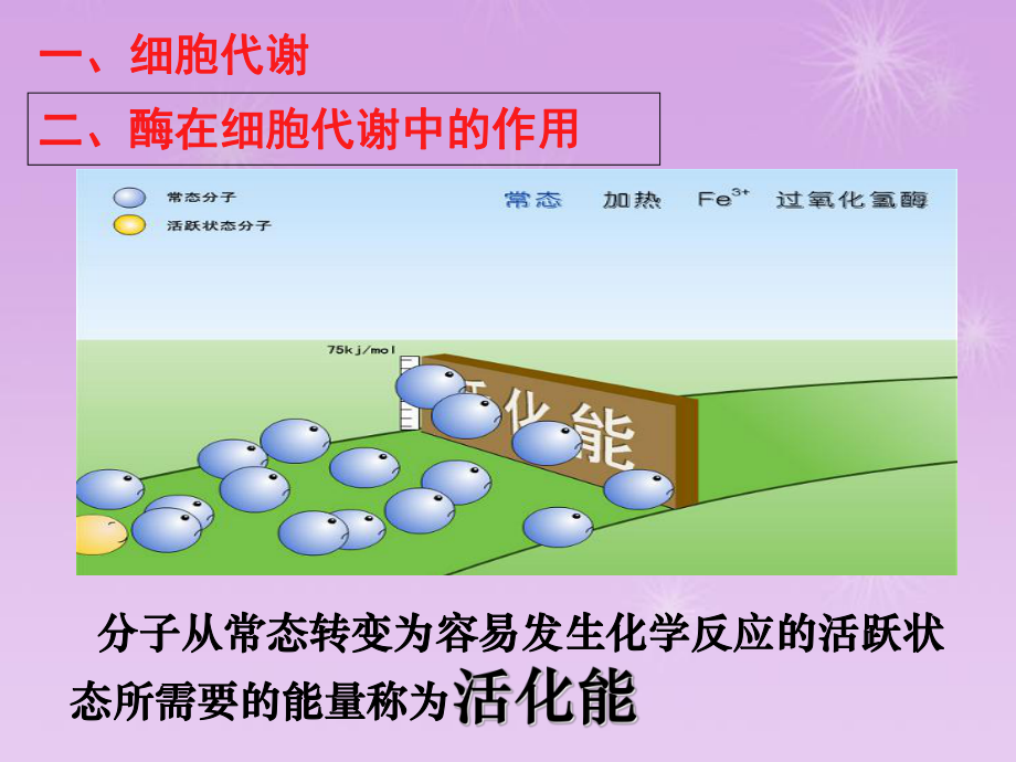 高中生物人教版必修1-降低化学反应活化能的酶-课件.ppt_第2页