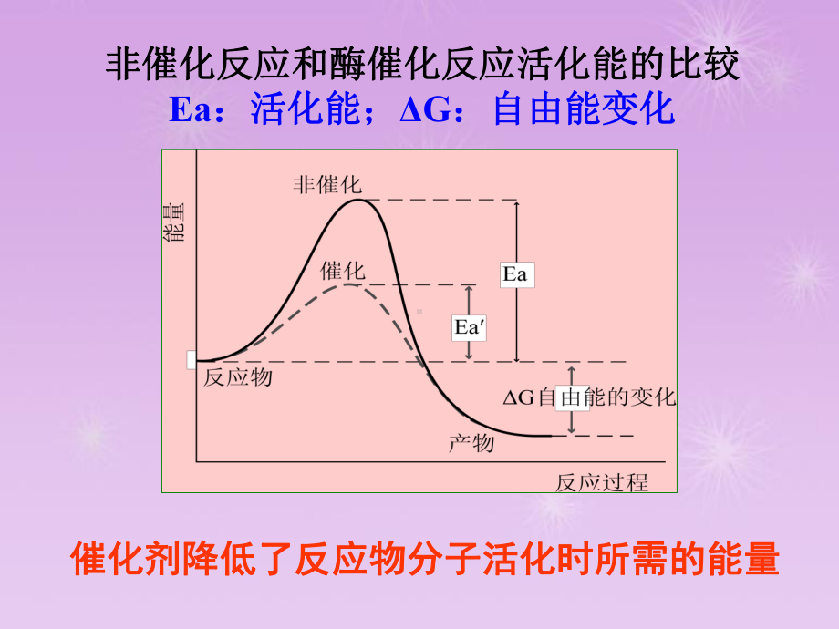 高中生物人教版必修1-降低化学反应活化能的酶-课件.ppt_第3页