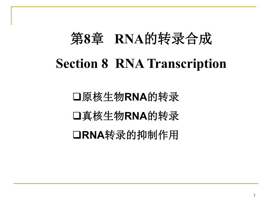 RNA的转录合成资料课件.ppt_第1页