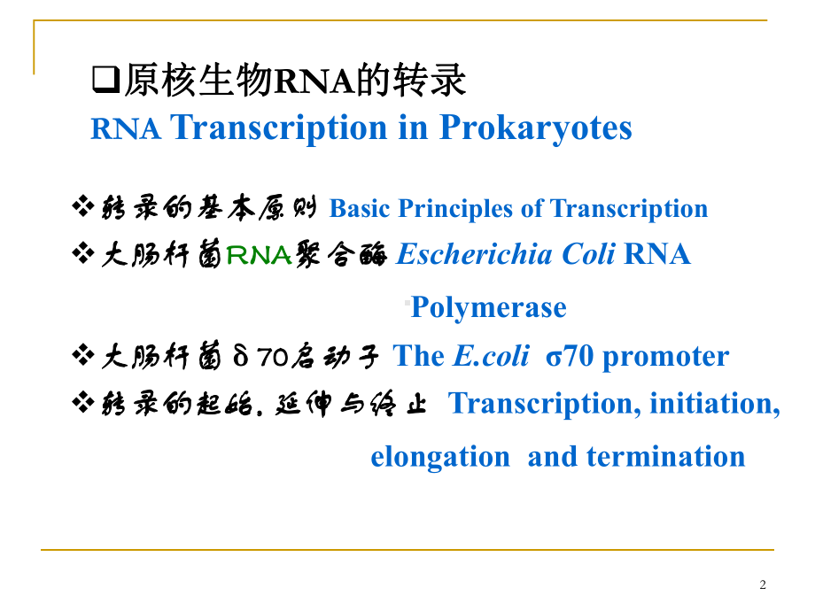 RNA的转录合成资料课件.ppt_第2页