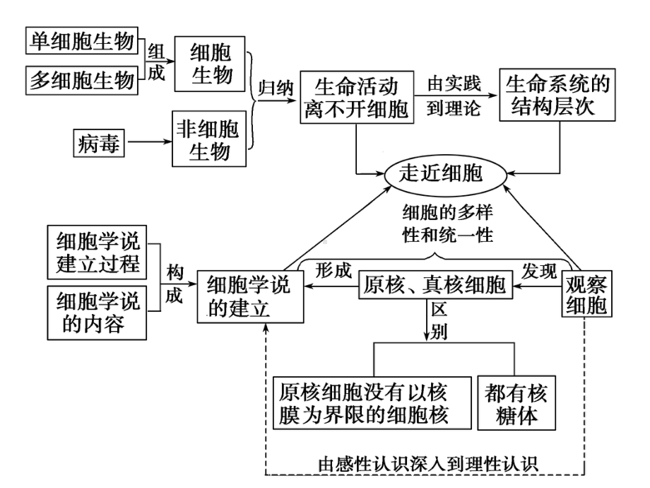 必修1第1章《走进细胞》一轮复习课件.ppt_第2页