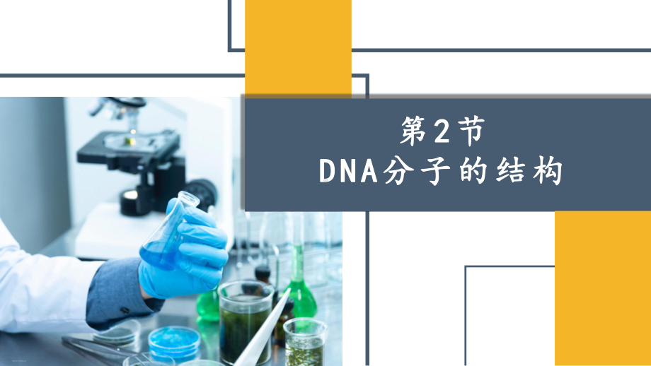 DNA的结构（新教材）人教版高中生物必修二教学课件.pptx_第1页