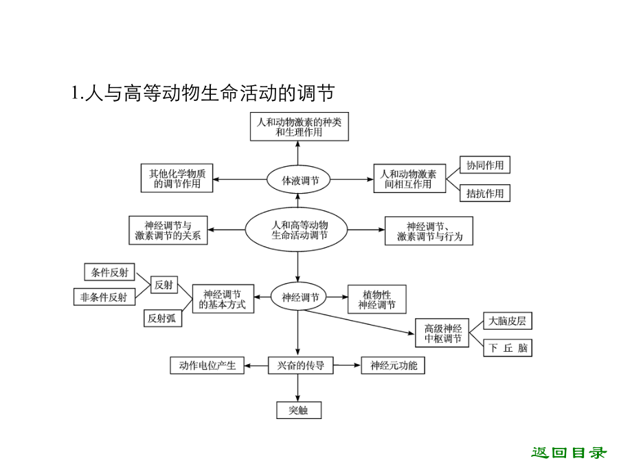 高三生物专题复习课件生命活动的调节-.ppt_第2页