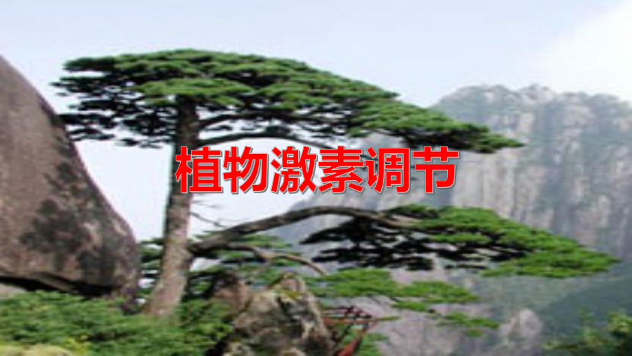 高中生物《生长素第一课时》公开课课件.ppt_第2页