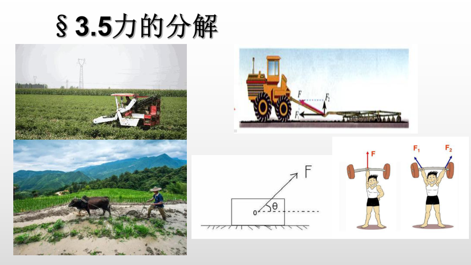 高一物理必修一力的分解课件.pptx_第1页