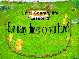 鲁科版小学英语(五四制)五年级下册《Unit5-Country-life-Lesson-2-How-many-ducks-do-you-have》课件.ppt