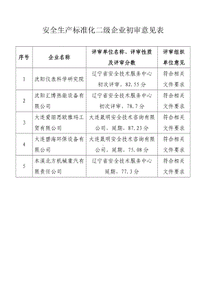 安全生产标准化二级企业初审意见表参考模板范本.doc