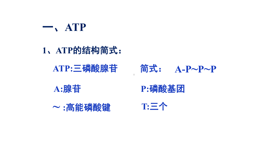 苏教版高中生物必修一课件第四章-光合作用和细胞呼吸复习.ppt_第2页