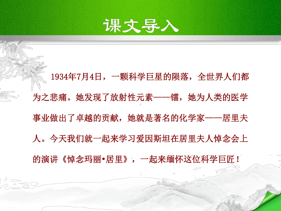 悼念玛丽·居里课件.ppt_第2页