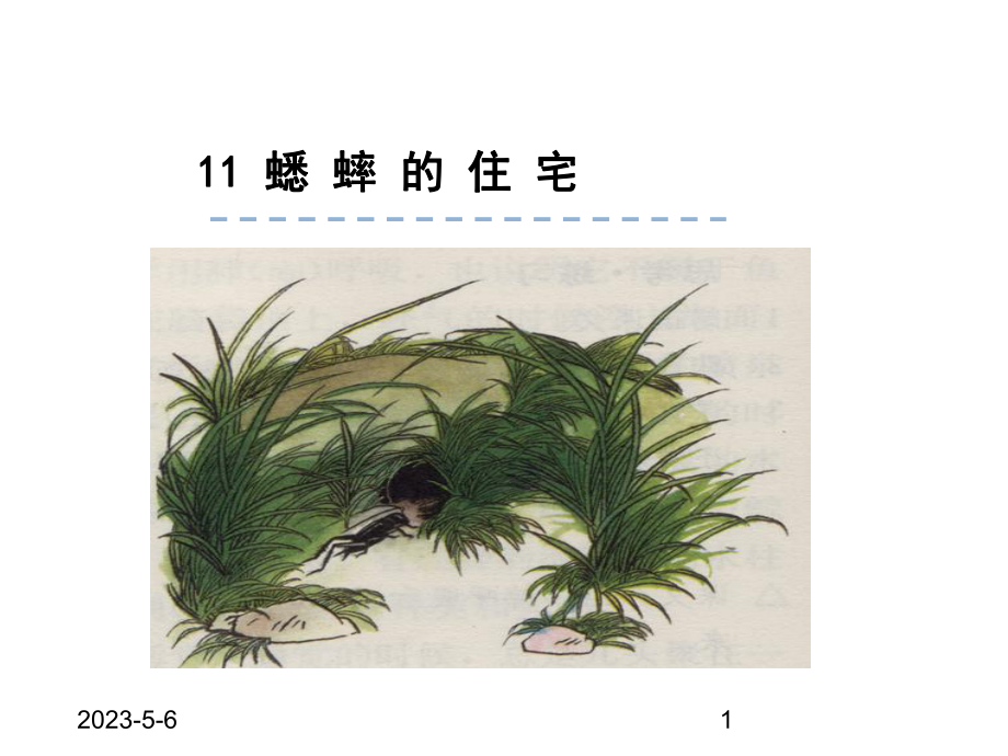 最新部编版四年级语文上册课件：11蟋蟀的住宅.ppt_第1页