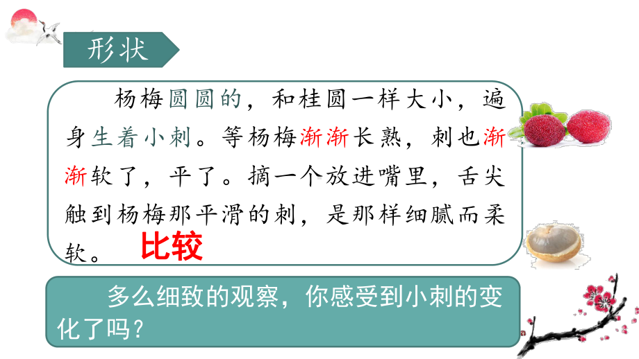 部编版三年级语文上册习作例文：我爱故乡的杨梅(教学课件).ppt_第3页