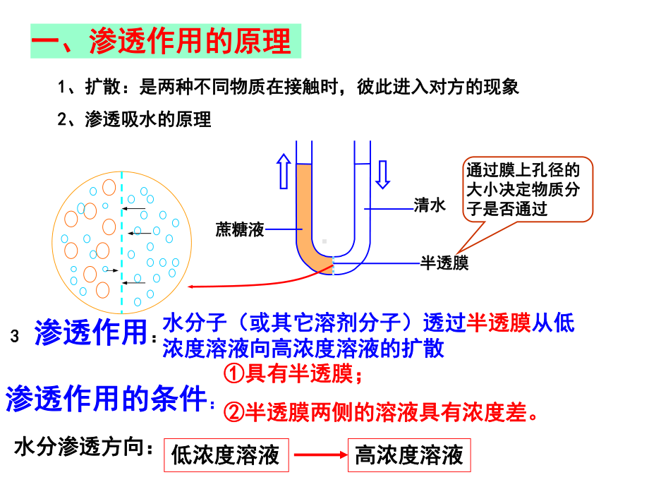 高三一轮复习物质跨膜运输的实例课件.ppt_第2页