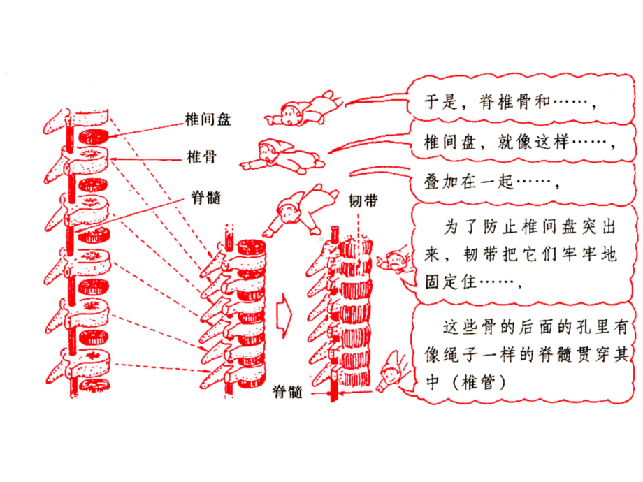 颈椎病康复保健操1汇总课件.ppt_第3页