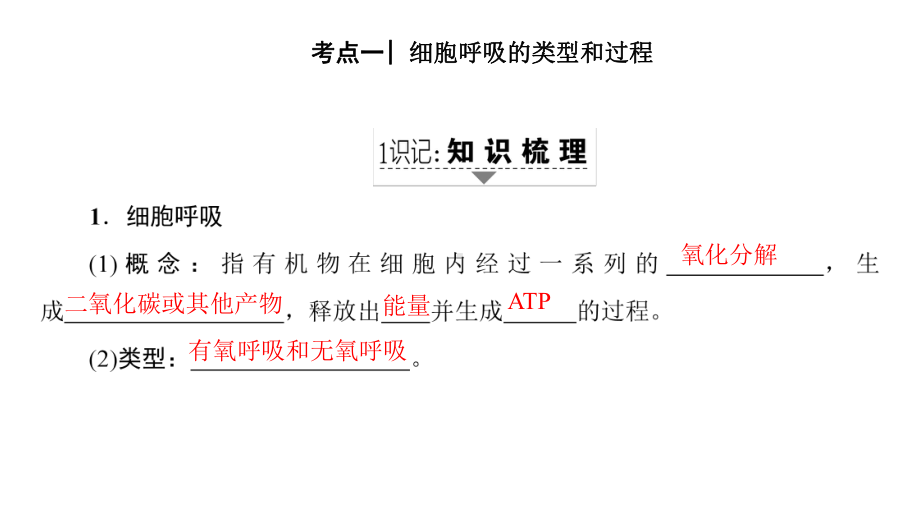 高三生物一轮复习第3单元细胞呼吸课件新人教版必修1.ppt_第2页