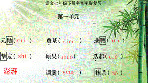 部编语文七年级下册字音字形复习-课件.ppt