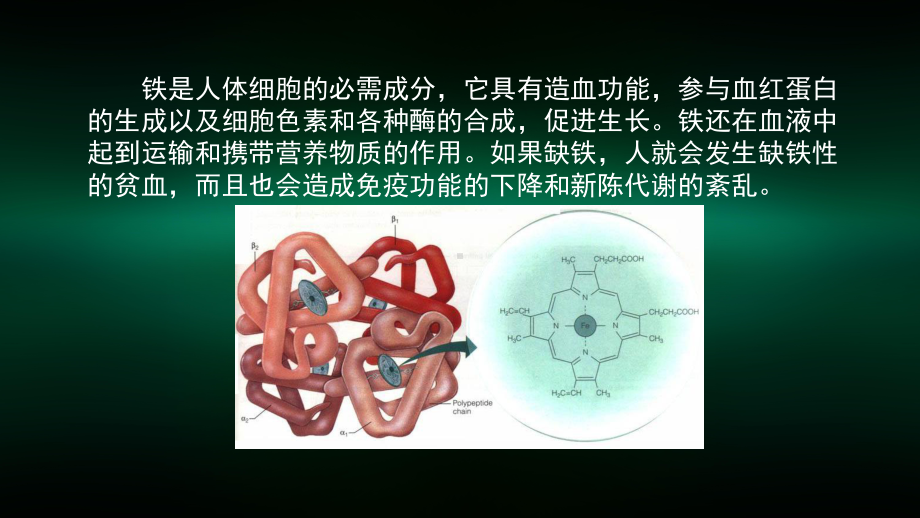 高一（化学(鲁科版)）铁的多样性3-课件.pptx_第2页