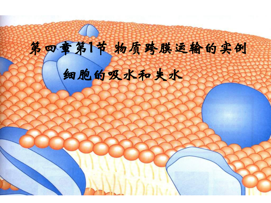 高一生物物质跨膜运输的实例课件.ppt_第1页