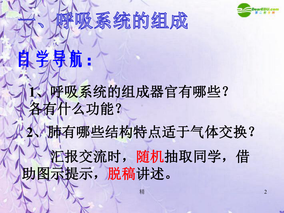 人体与外界的气体交换概述教学课件.ppt_第2页