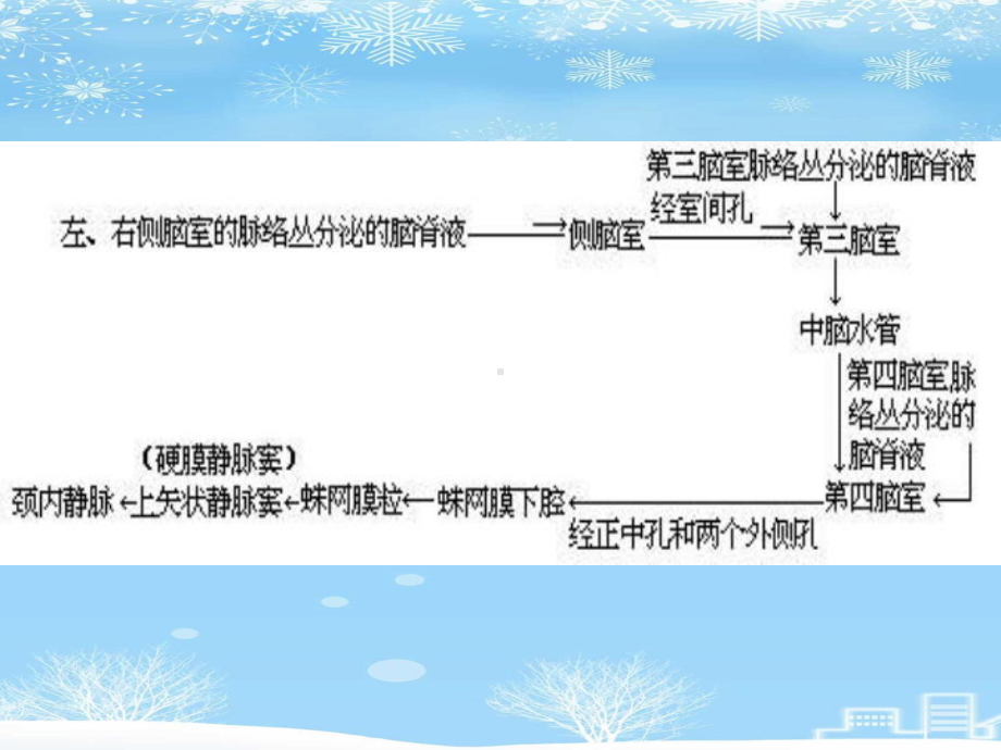 颅脑和脊髓先天畸形2021完整版课件.ppt_第3页