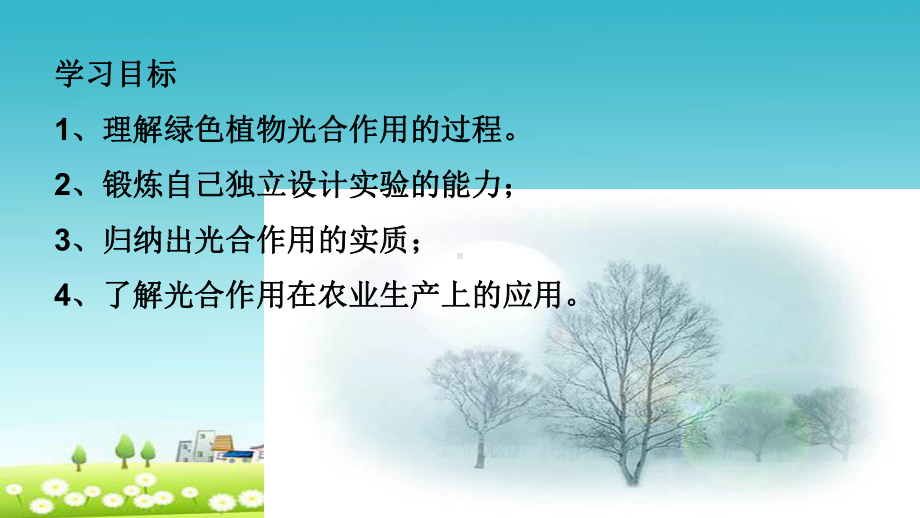 新人教版七年级生物上册第五章第一节光合作用吸收二氧化碳释放氧气课件.ppt_第2页