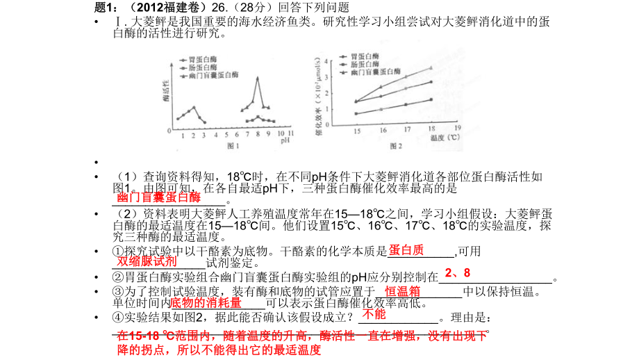 酶知识点复习课件.pptx_第2页