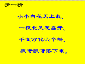 部编版小学语文一年级上册雪地里的小画家-8公开优质课教学课件优秀.ppt