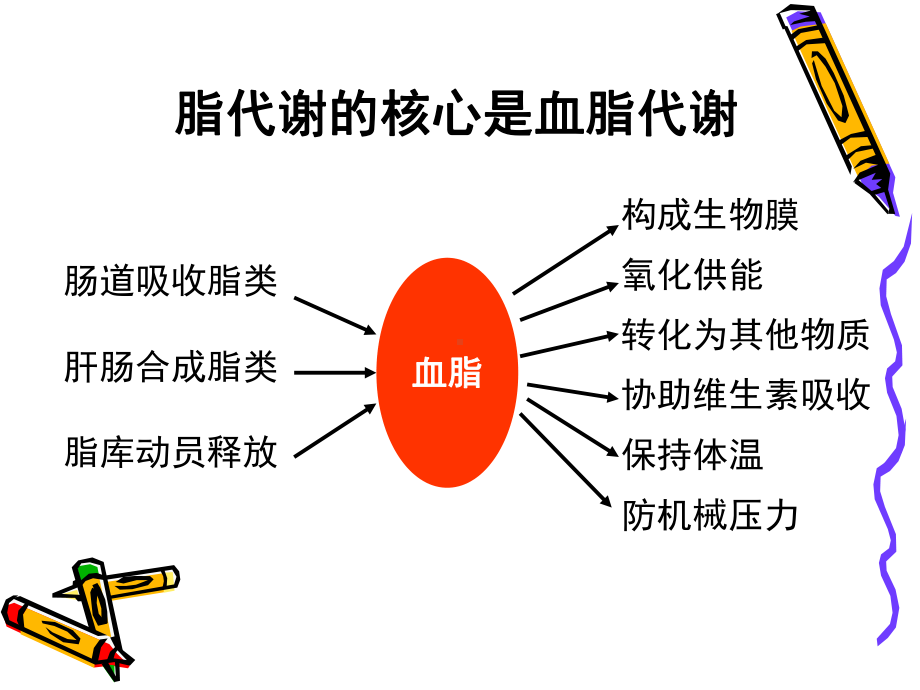 病理生理学课件脂代谢紊乱.pptx_第2页