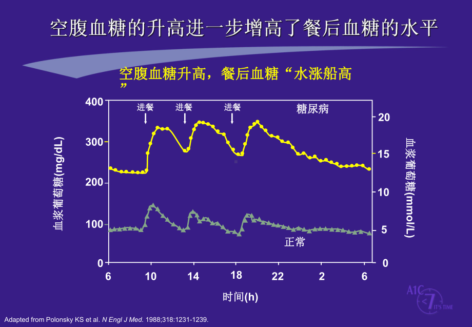 真正的长效基础胰岛素-来得时课件.pptx_第3页