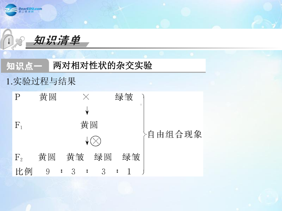 高考生物一轮总复习-212-孟德尔的豌豆杂交实验课件(二).ppt_第2页
