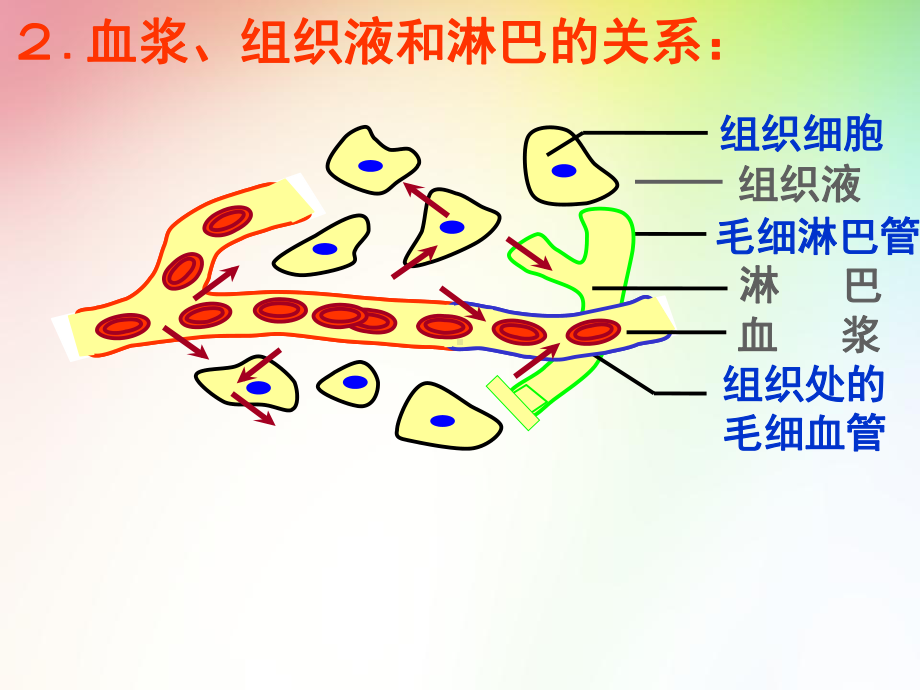 高中生物必修三复习课件.ppt_第2页