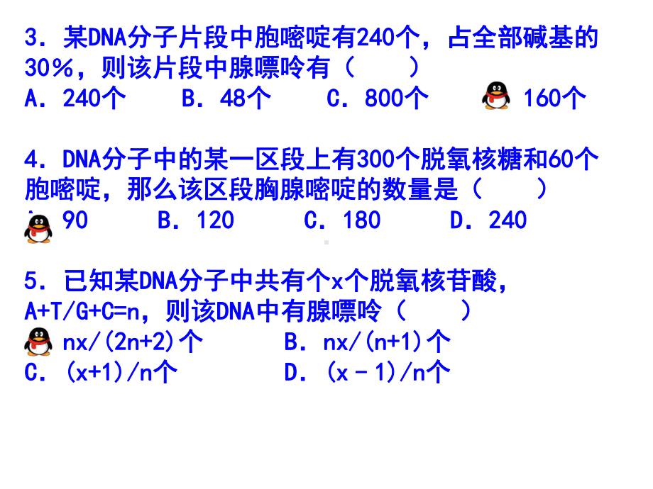 DNA分子结构和复制的计算课件.pptx_第1页