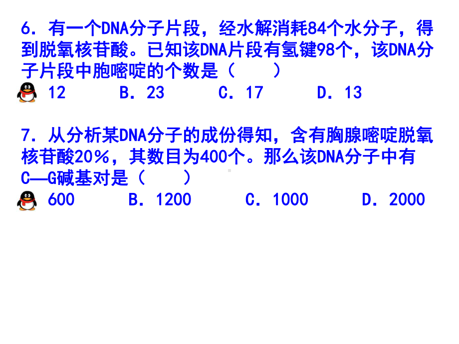 DNA分子结构和复制的计算课件.pptx_第2页