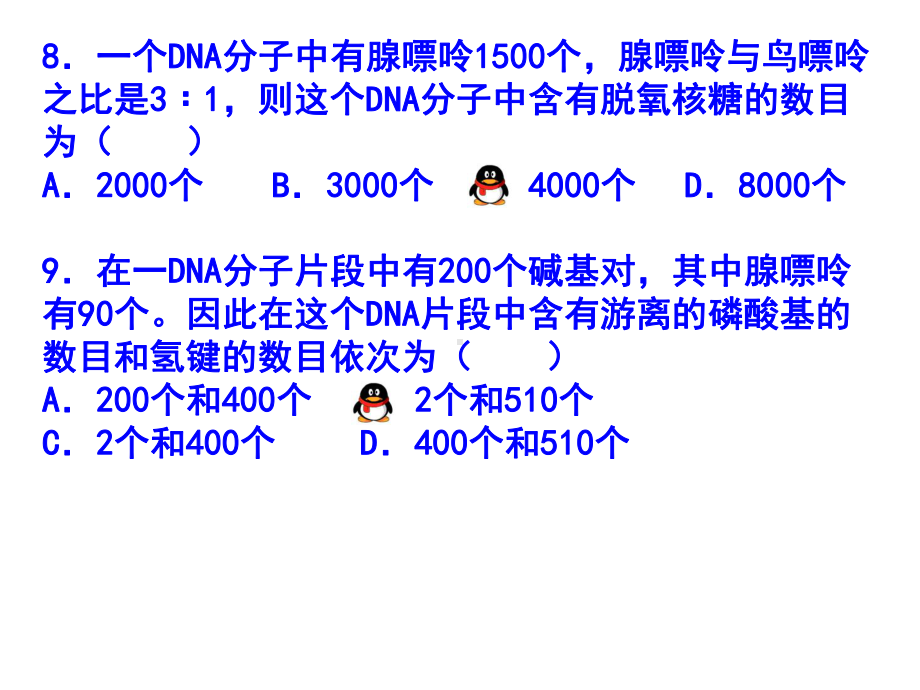 DNA分子结构和复制的计算课件.pptx_第3页