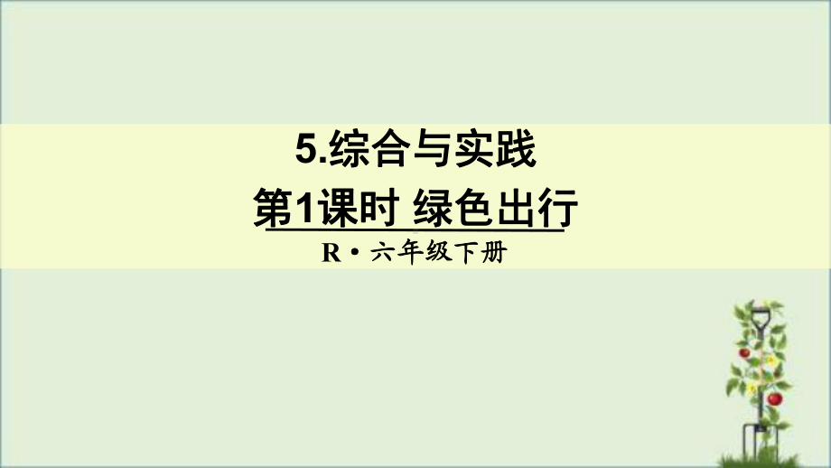 最新人教版六年级数学下册综合复习-综合实践专项训练课件.pptx_第1页