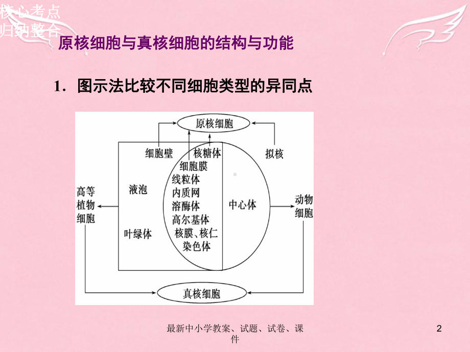 高三生物二轮复习-第一部分-知识落实篇-专题一-细胞的分子组成和基本结构-第2讲-细胞的结构课件.ppt_第2页