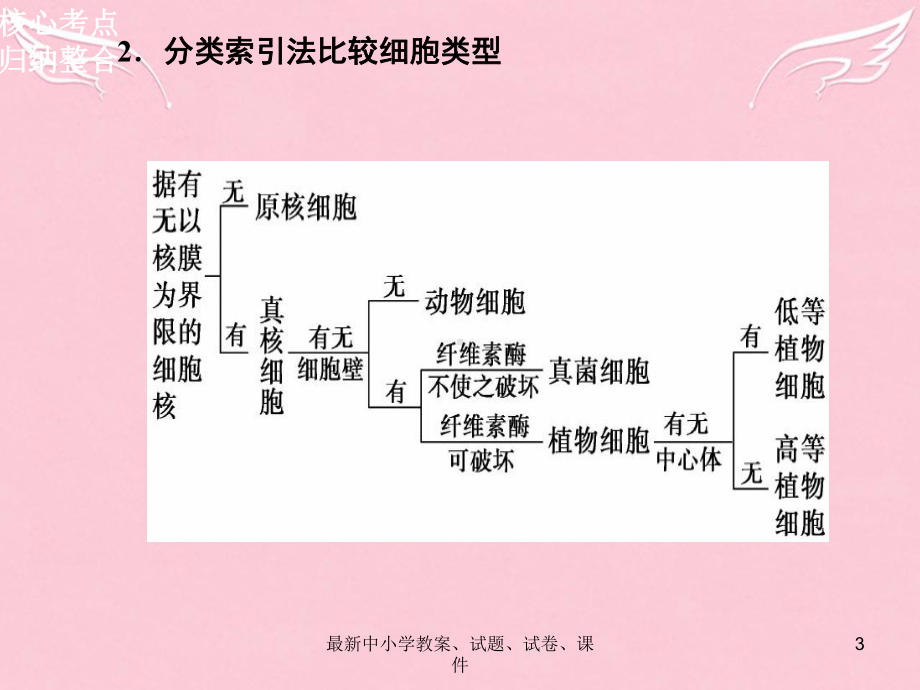 高三生物二轮复习-第一部分-知识落实篇-专题一-细胞的分子组成和基本结构-第2讲-细胞的结构课件.ppt_第3页