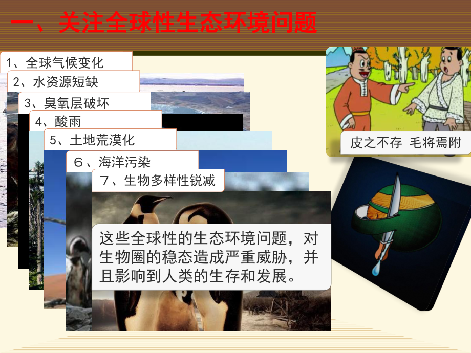 高中生物必修3优质课件7：62-保护我们共同的家园.pptx_第3页