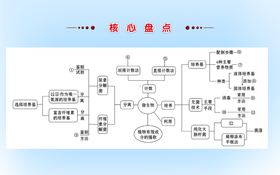 高考生物二轮复习-专题十六-微生物的利用和植物有效成分的提取课件.ppt_第3页