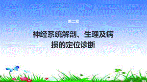 脑神经与周围神经课件.pptx