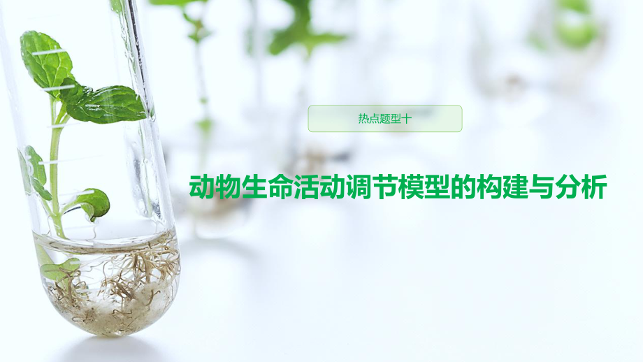 高中生物热点题型(动物生命活动调节模型的构建与分析)课件.pptx_第1页