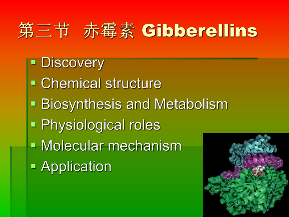 第三节-赤霉素-植物生理学课件.ppt_第1页