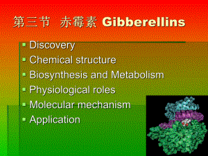 第三节-赤霉素-植物生理学课件.ppt