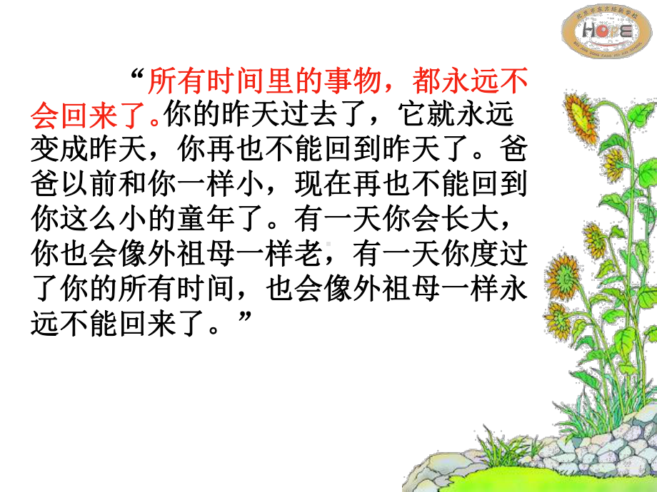 和时间赛跑 (13).ppt_第3页