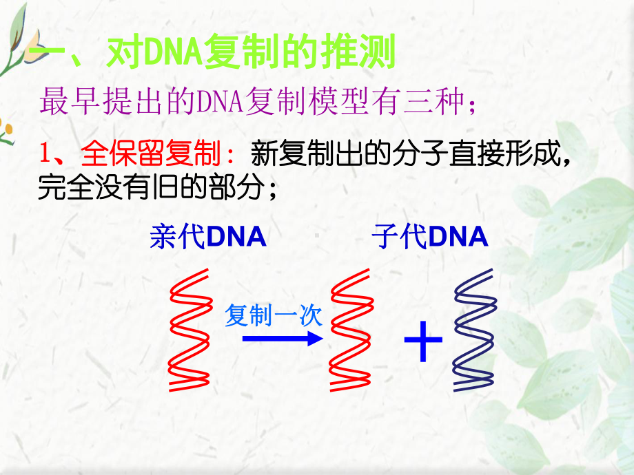 高中生物必修二DNA的复制课件.ppt_第3页