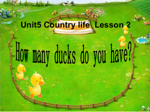 鲁科版小学英语五年级下册Unit-5《Lesson-2-How-many-ducks-do-you-have》课件.ppt